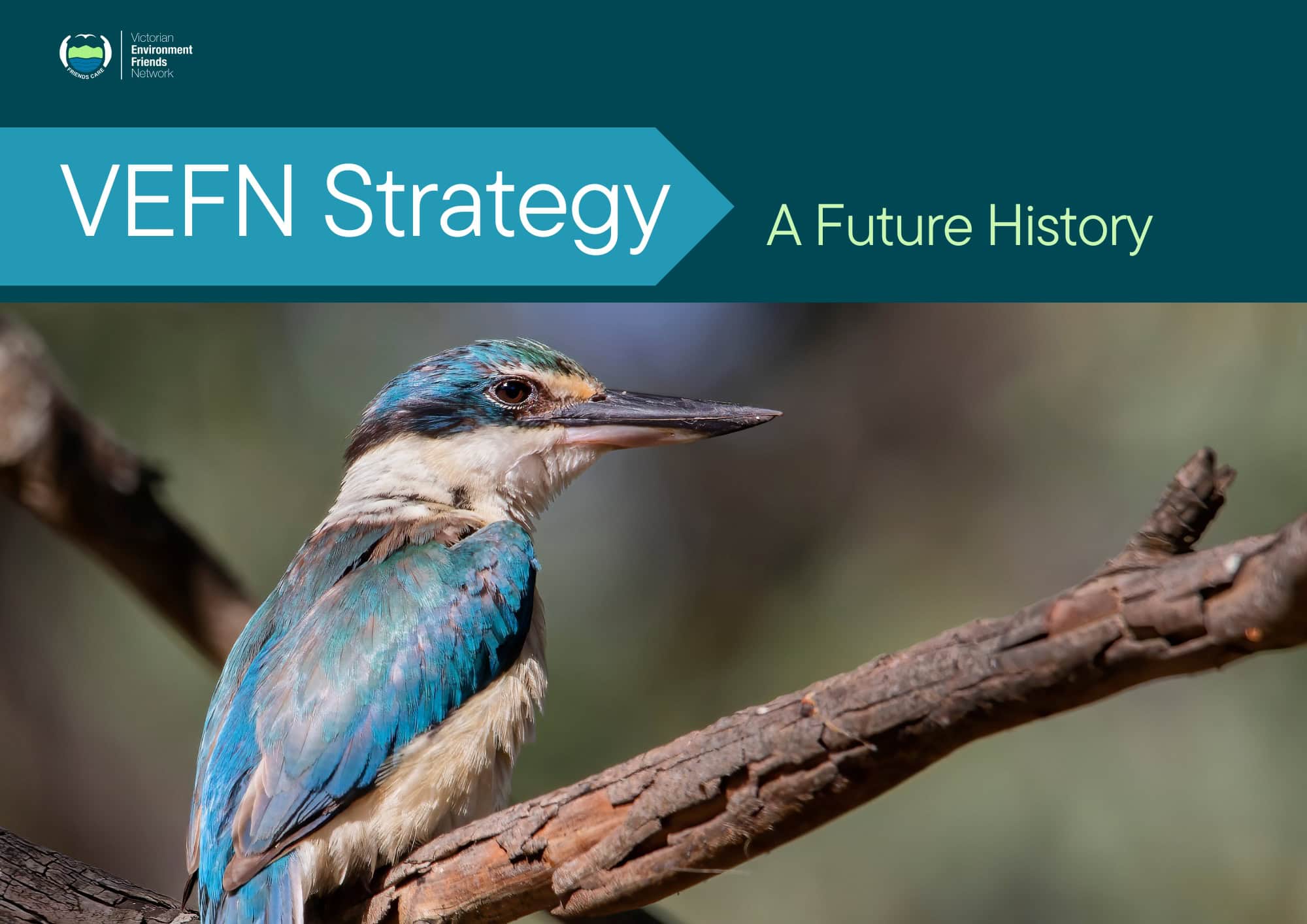 VEFN Strategy 2025 (A4 (Landscape)) (1)
