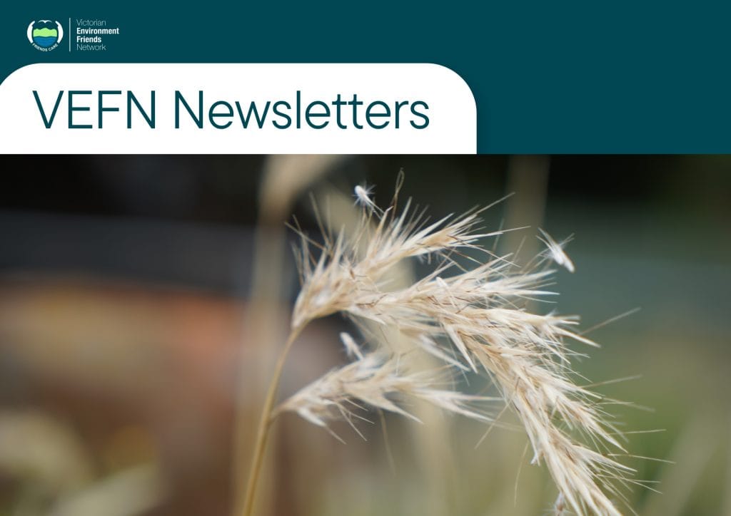 VEFN Welcome Pack 04 03 2025 (A4 (Landscape)) (1)