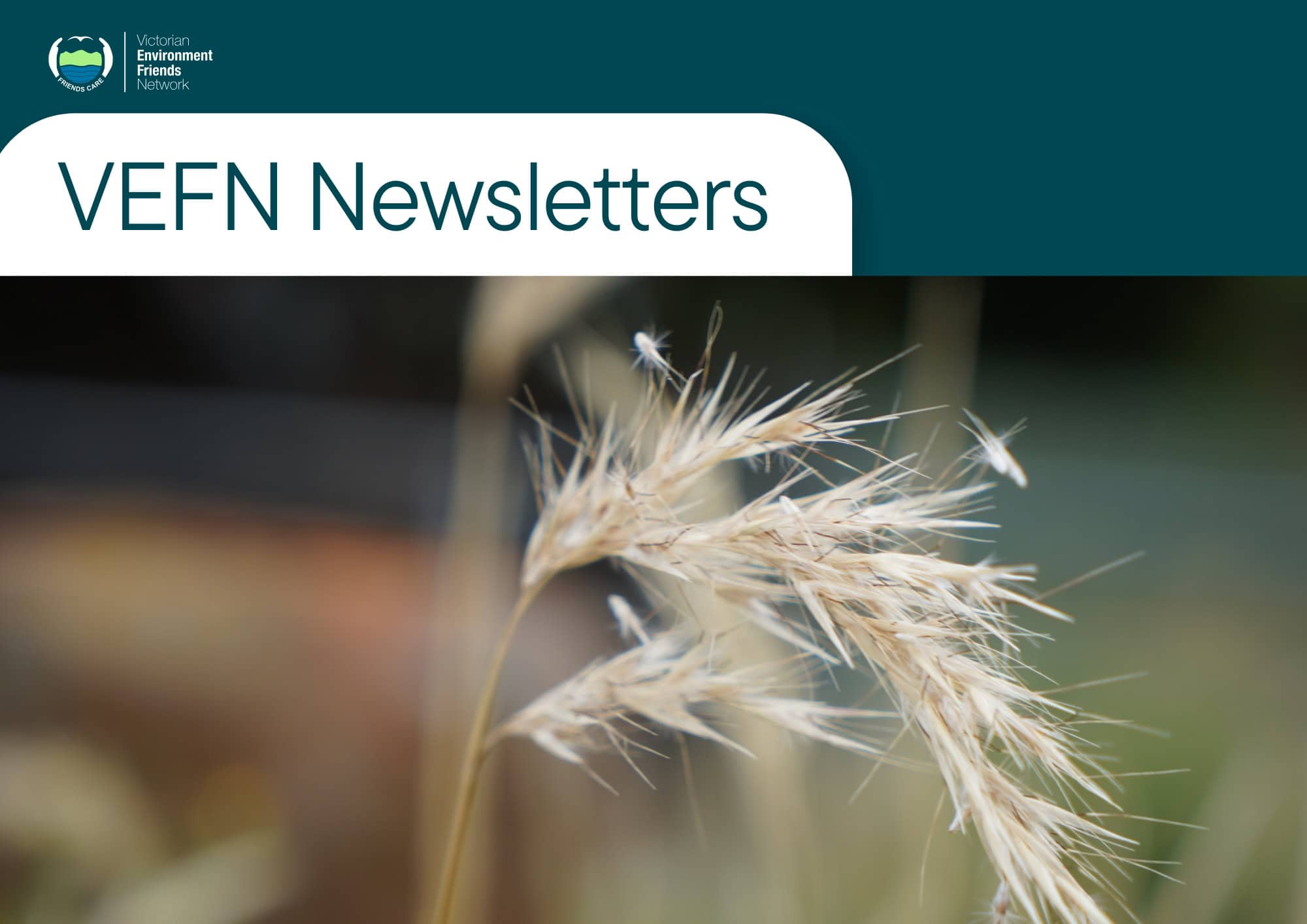 VEFN Welcome Pack 04 03 2025 (A4 (Landscape)) (1)