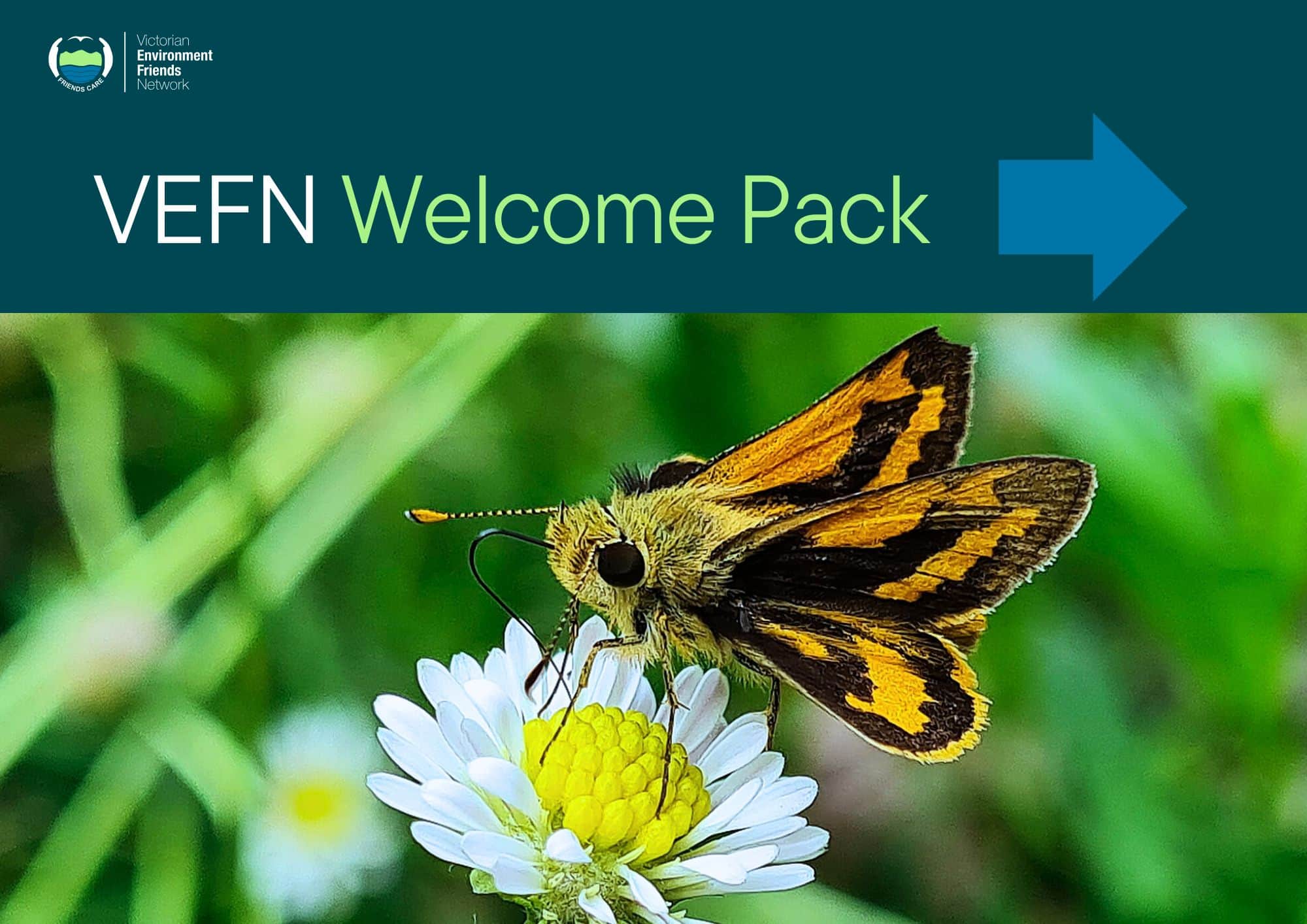 VEFN Welcome Pack 04 03 2025 (A4 (Landscape))