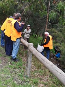 jenny learys community planting day 225x300
