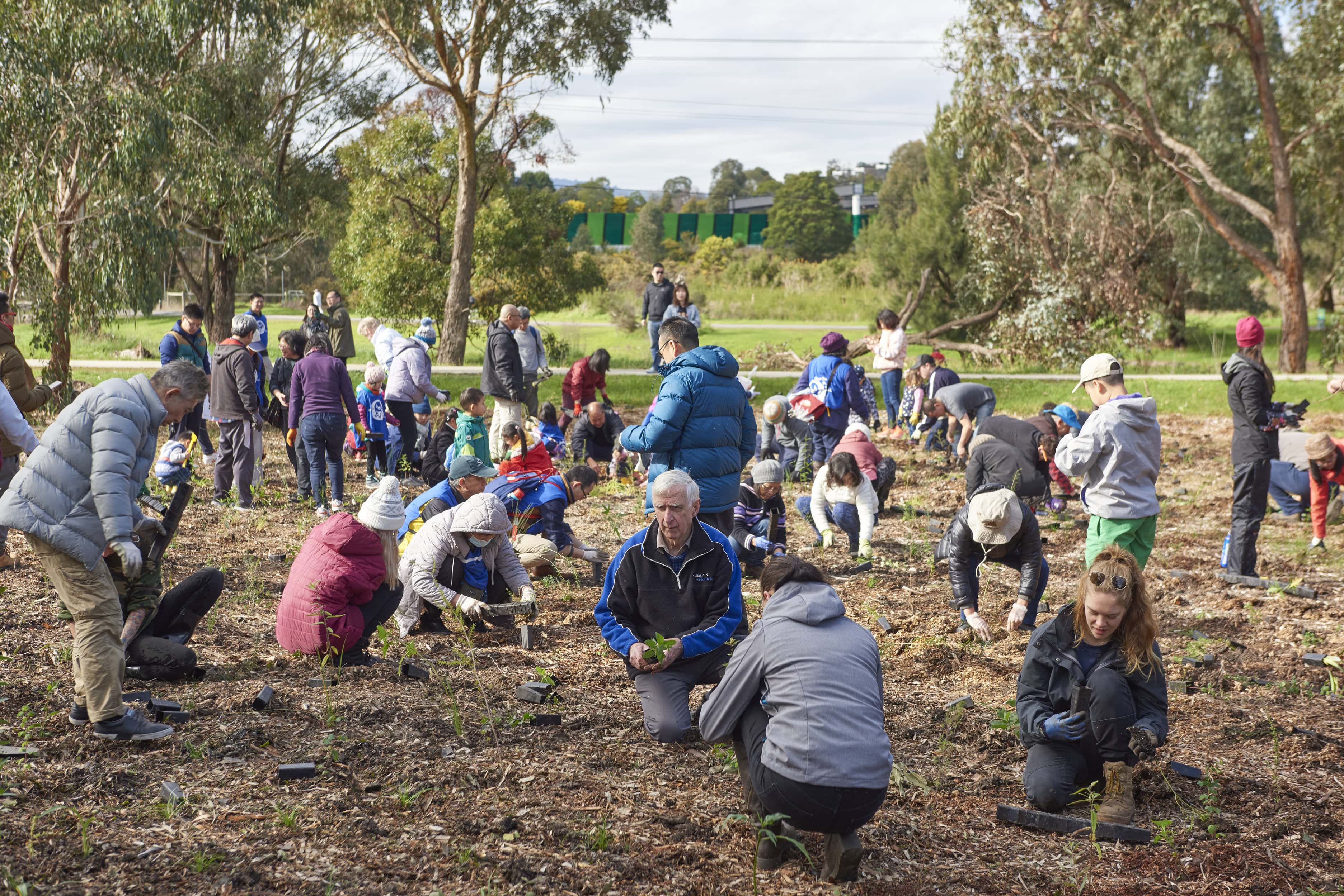 Melbourne Mornington Peninsula Photographer