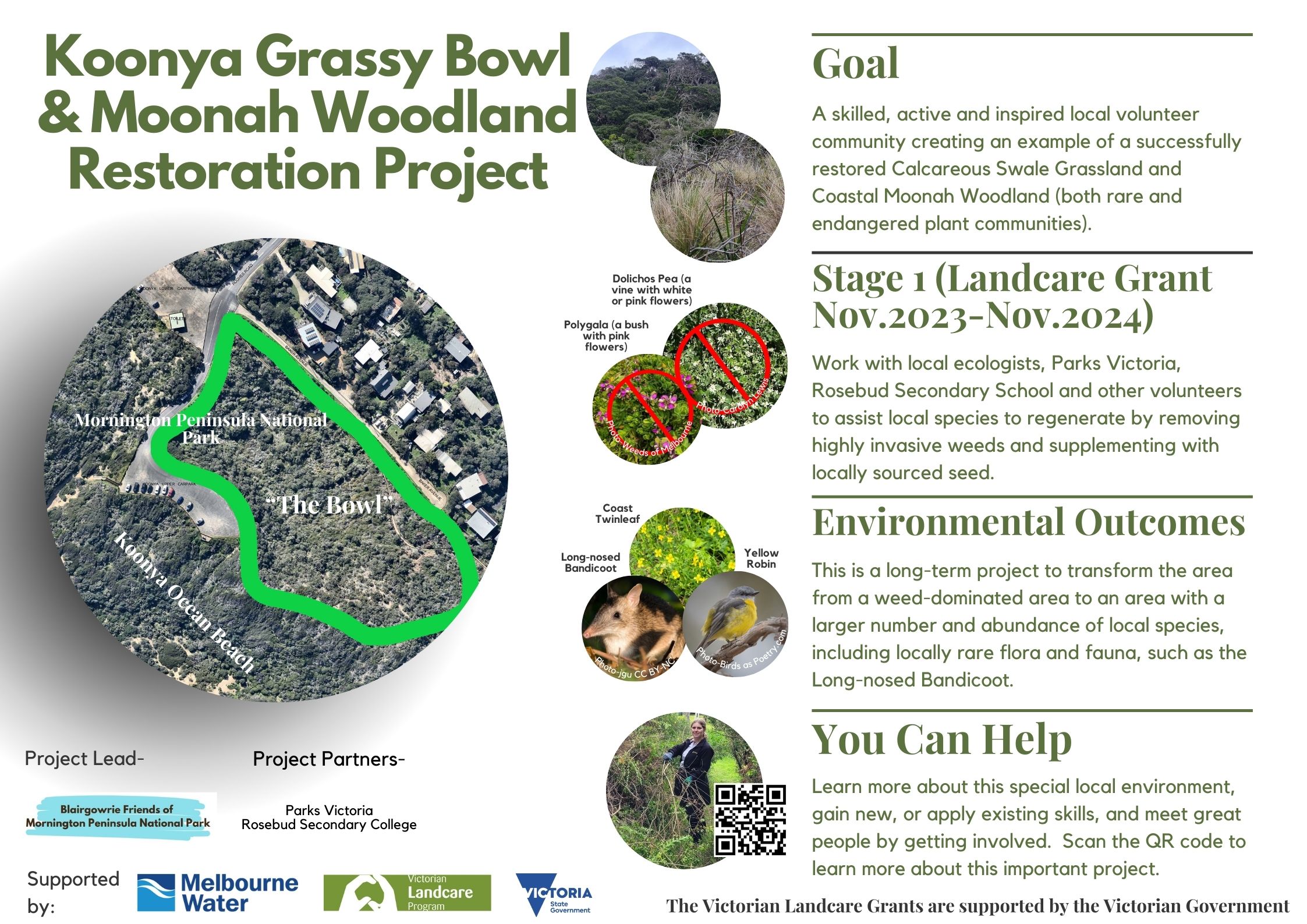 Koonya Grassy Bowl and MW Project info poster