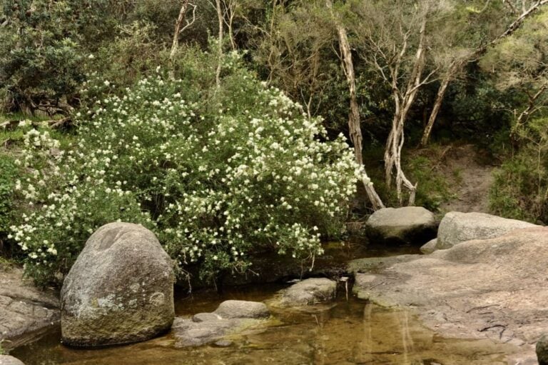 Springtime in the Granites